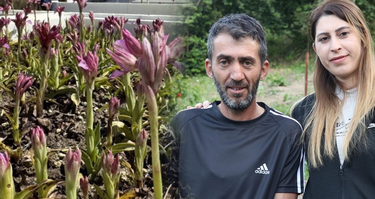 kilosu bin liraya yukseldi hasadi cok verimli ailecek eken servet kazaniyor WlyWxdCw