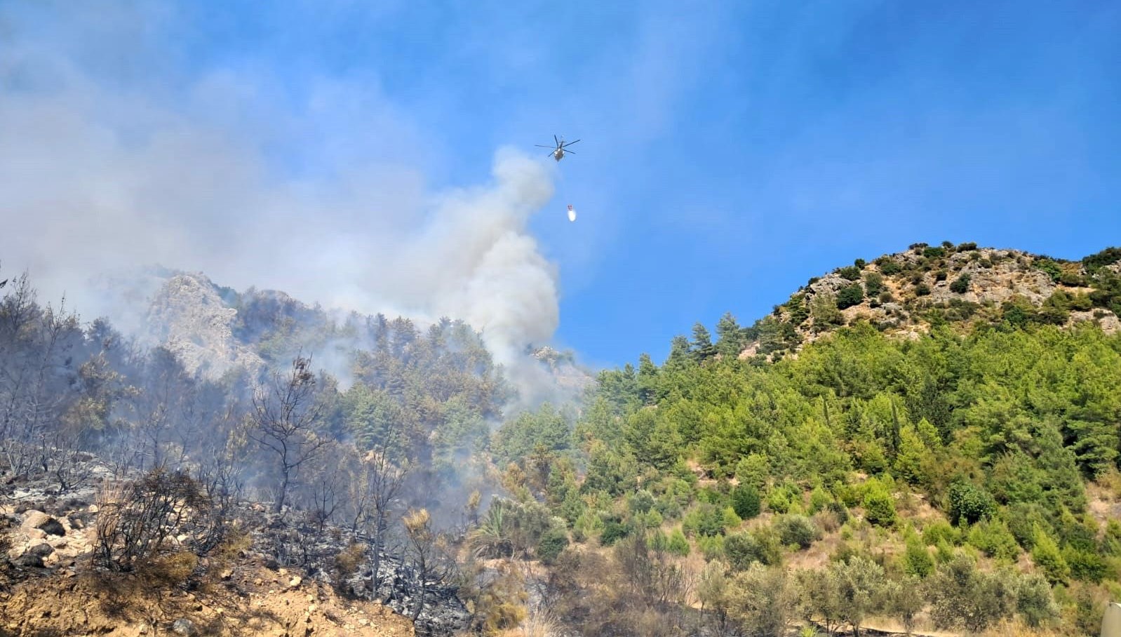 serikteki orman yanginina bir gozalti T7YU1E2d