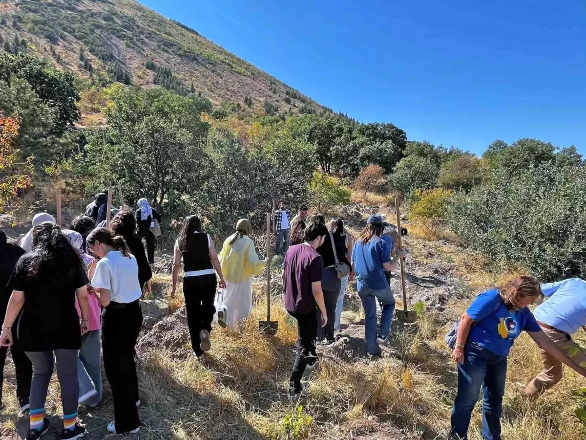 talasta dunya eczacilar gununde fidan dikim etkinligi gerceklestirildi s9wQYcbf