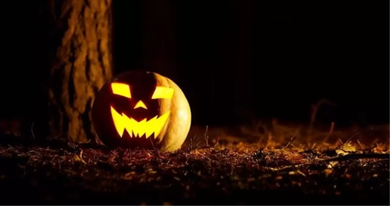 cadilar bayrami halloween ne zaman cadilar bayrami halloween nedir bu gun halloween mi Bn21mnYu.jpg