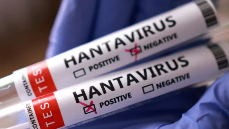 hantavirus-vakalari-neden-artiyor-uzman-isim-acikladi-TqR7dQLE